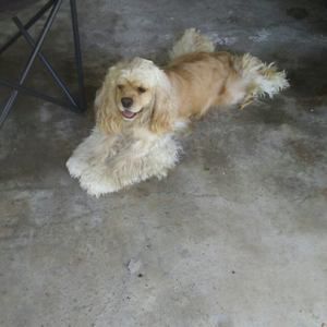 Meet your Posher, Jo